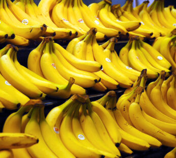 Banana 1 Dozen