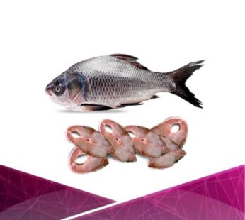 Catla 400gm